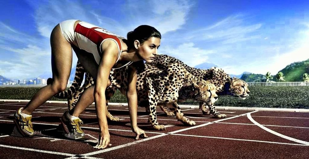 847-sprint-against-cheetah-abstract-hd-wallpaper-2020x1070-customity[1].jpg