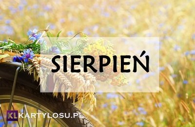 SIERPIEN.jpg.cd374f5617ad7e3be17bd7c6bca841e6.jpg