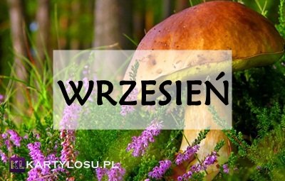 WRZESIEN.jpg.801baf6c1a69d0b7db39561ba366a998.jpg