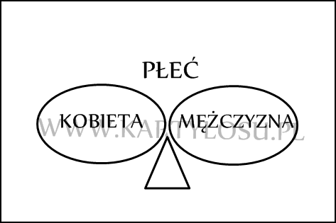Plec.png.15d9188c1492552a327da3ba303be59e.png